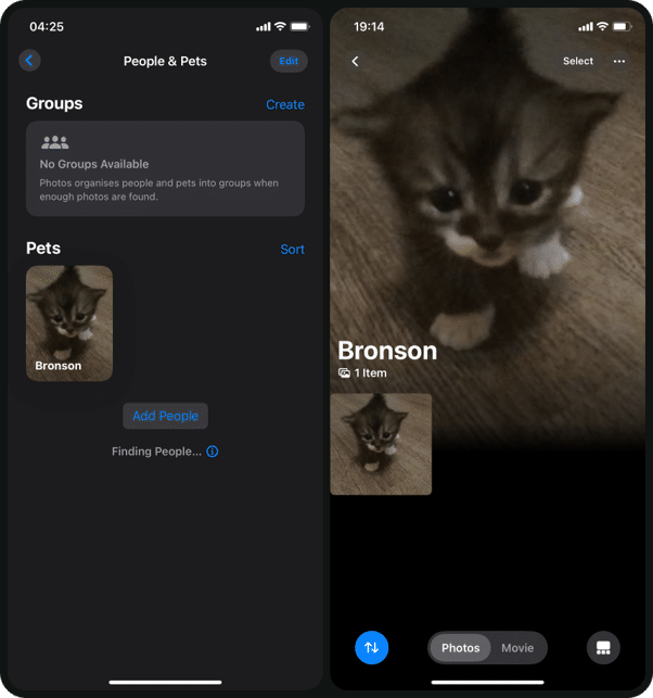 Find Familiar Faces in People & Pets